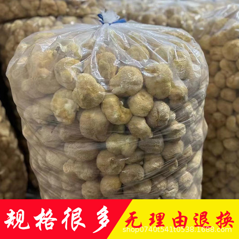 猴头菇产地直销批发新鲜烘干菌菇猴头菇粉养胃古田土特产干货蘑菇