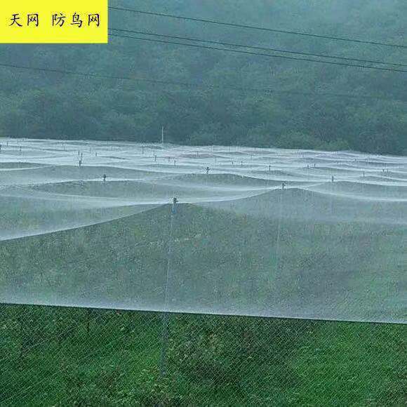 (畅销榜第7名)家禽养鸡网菜园网围网栏鸡网山鸡防鸡网栏鸡鸭网