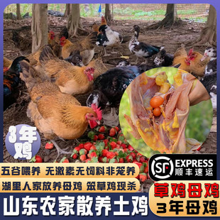 �ӳ�O�� ɽ�|΢ɽ���r��ɢ�B��ĸ�u3����B�����u�ߵ��u���r���u