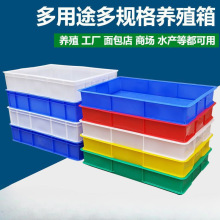 ֻٍ�˚��B�� ���������D�� ��������z�� ��ɫ���P�B�����Bֳ��