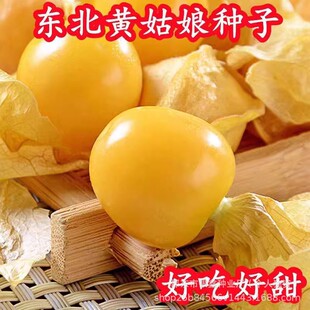 ������N���S�����Ѽt������N�ѹ�����N��ԭ�b�ļ�ˮ���N�Ӵ�ȫ