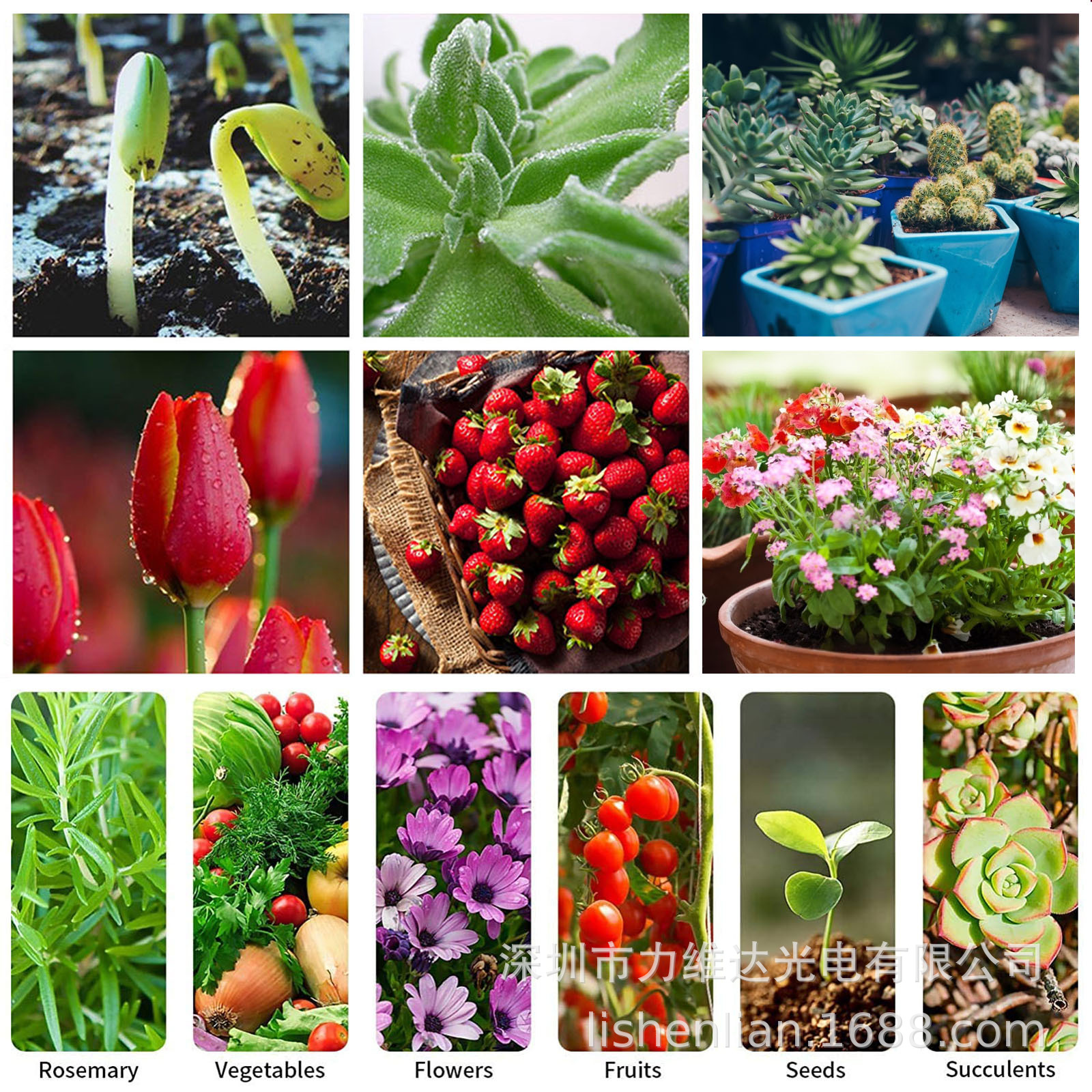 άPar20ֲIP65ȫײ7w⻨