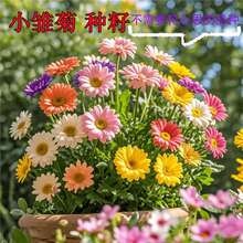 С�r�ջ��N���ļ��_���҃������׻��ͺ����Ի��Ѿ��������_������