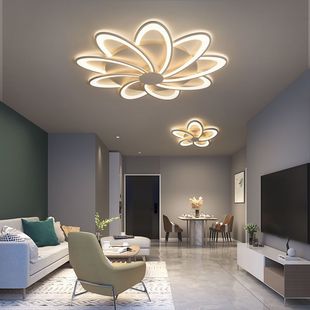 2024 New Simple Creative High-end Internet Celebrity Restaurant Atmospheric Living Room Ceiling Lamp Modern Romantic Bedroom Living Room Lamp