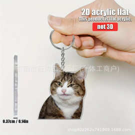 可爱搞怪猫咪亚克力钥匙扣跨境新款背包装饰平面挂件节日礼物吊坠