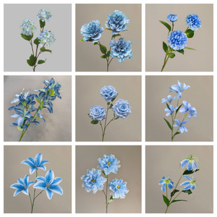 �{ɫ���滨��c�û�õ������m�M���ǽ���ٺϼٻ��{ɫ���滨���l