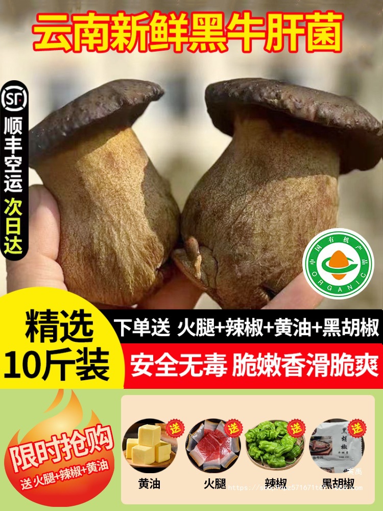 新鲜黑牛肝菌 云南特产新鲜牛肝菌食用菌菇炒菜煲汤火锅食材顺丰
