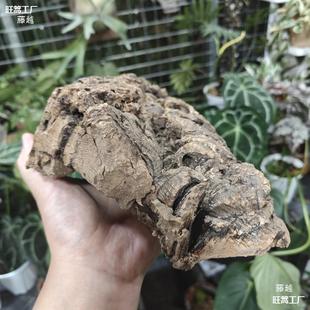 ������ܛľ ¹��ާʯ�����m�����m��ֲ��Ȼ��Ƥ ���������쾰����