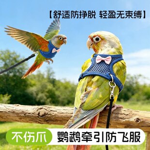透明清漆保护