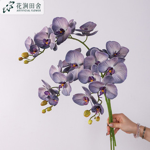 ���滨���z�޺����m ���m���Ҿ�ܛ�b����m���滨�zӰ�[���ٻ�