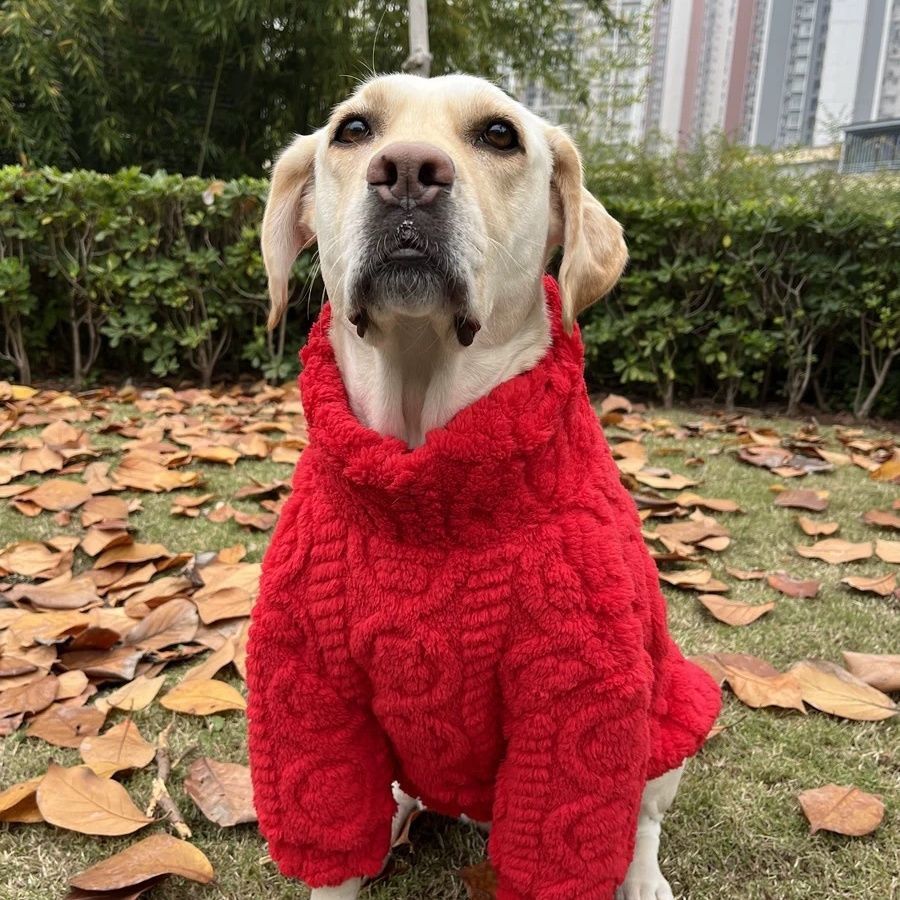 大型犬衣服宠物新年喜庆棉绒边牧拉布拉多金毛大狗双面绒保暖服装