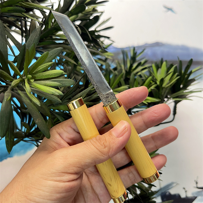Pluma mágica Damasco cuchillo afilado de alta dureza cuchillo portátil cuchillo de fruta mini cuchillo al aire libre