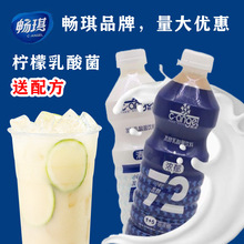 畅琪浓缩乳酸菌发酵养乐多活性乳酸菌奶茶店用养乐多饮品浓缩饮料