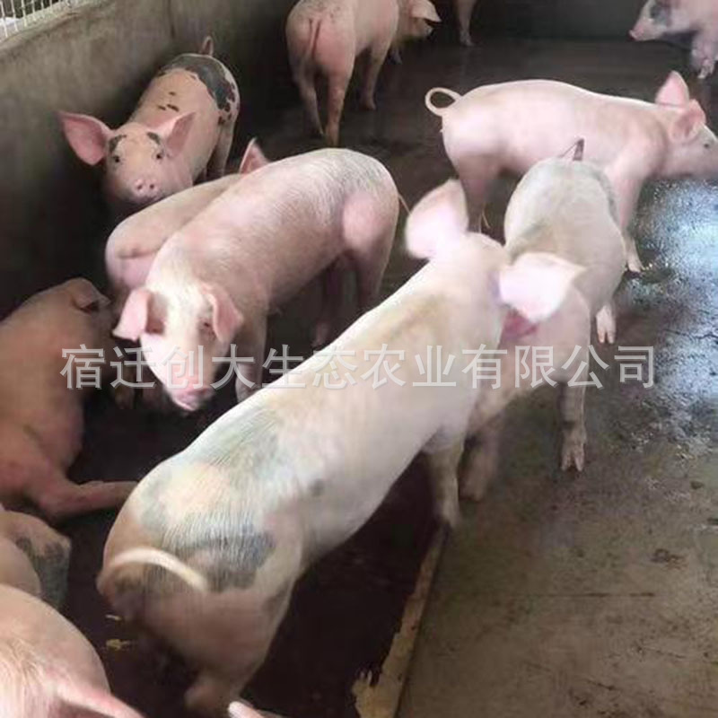 b7455b6c33138febdef30aba1b8264