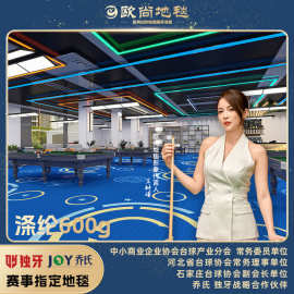 满铺地毯桌球室印花台球厅专用隔音大面积台球室全铺商用现代简约