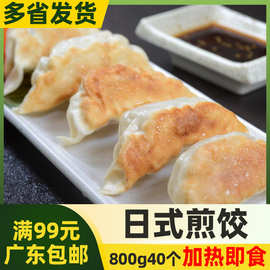 加藤利日式煎饺【800g约40个】猪肉煎饺锅贴饺子冷冻半成品熟制品