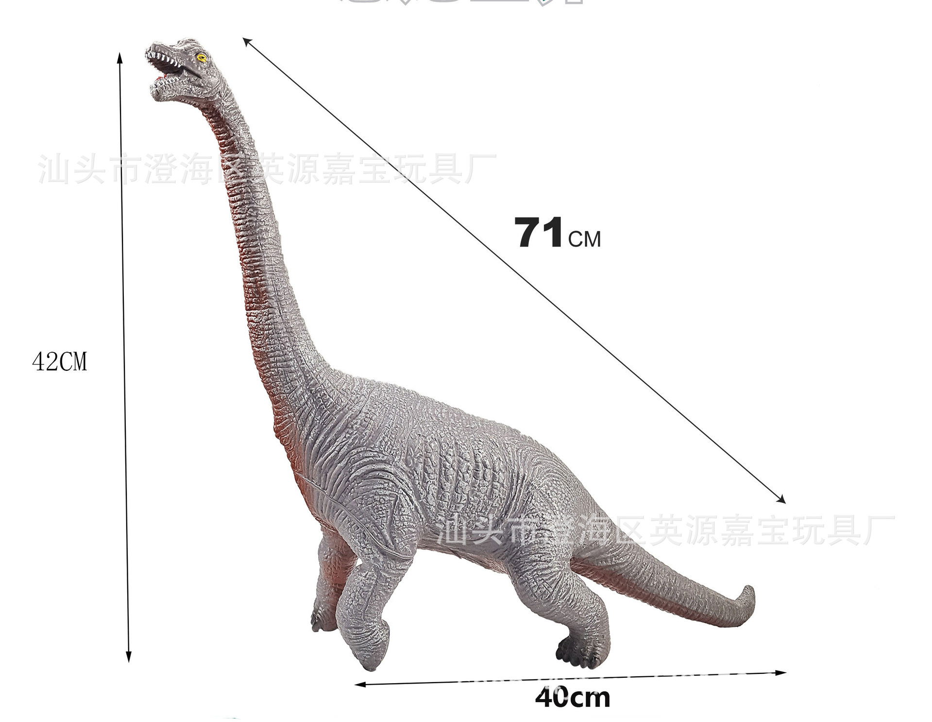 【70 시리즈】71cm 초대형 그레이 브라키오사우루스