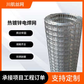 厂家供应热镀锌电焊网护栏网围栏网 焊接电焊钢丝网安全铁丝网