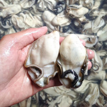 ���r�����ԭ�a���r����⺣�rˮ�a��偺�Ϡ��ȥ��ĵϠ����������