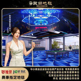 涤纶尼龙印花地毯4米宽桌球室地毯KTV棋牌室办公室地毯台球厅地毯