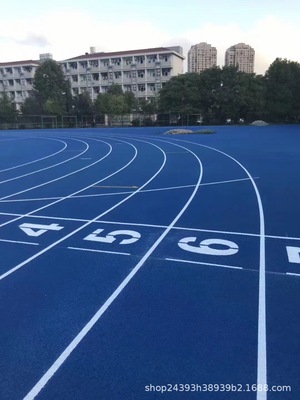 塑胶跑道材料epdm橡胶颗粒学校塑料透气型跑道预制型塑胶跑道|ru