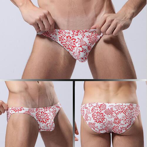 Chinese style teen gay sexy men's low-waist underwear cartoon print new Xinjiang cotton briefs E095