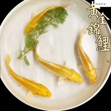 �S���\����ؔ�~�ԁ�ˮ���B�ͻ���B��ˮ�~С���~���^�p�~���~���l