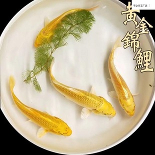 �S���\����ؔ�~�ԁ�ˮ���B�ͻ���B��ˮ�~С���~���^�p�~���~���l