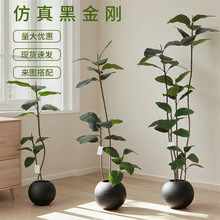 �p���L����Gֲ�ڽ�����Ƥ����Ϳ͏d�̨����b[����ֲ���쾰