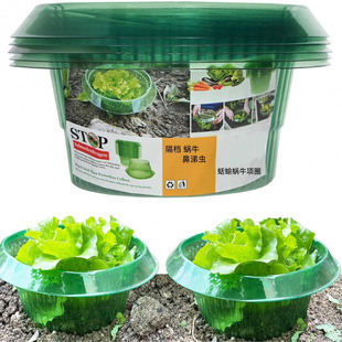 Vegetable Protective Cover Snail Collar Round Thickened Commercial Nursery Stock Protective Cover Beautiful Agricultural Protection Green Transparent