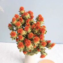 �Ȳ��}�ɻ��L����ϻ���ֱ�l�������r���[���Ĕz����С�����ɻ�