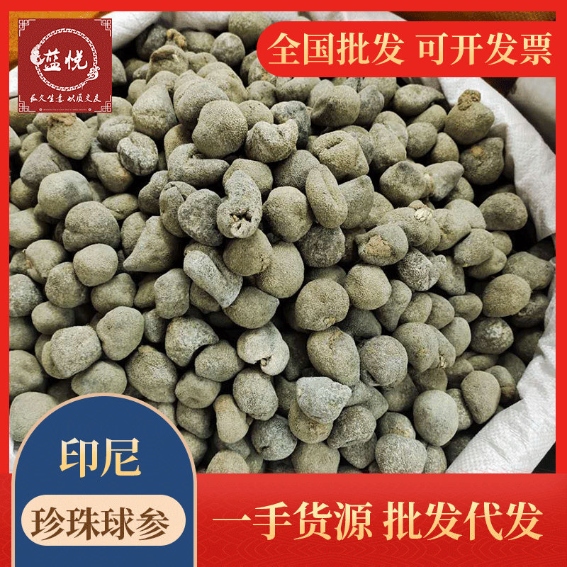 产地直批 印尼珍珠球参 原产地淡干球参 乌元参厚肉发量好15-70头