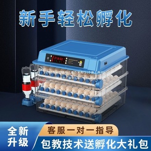 [New Model Launched] Fully Automatic Incubator Small Household Incubator Chicken Egg Incubator Rutin Chicken Incubator