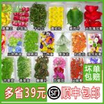 新鲜薄荷叶清香木叶子蛋糕装饰芽苗西餐厅冷菜三色堇摆盘装饰花草