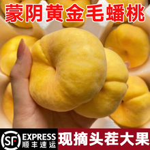 蒙阴黄金毛蟠桃新鲜水果扁桃山东应季孕妇毛桃脆桃当季桃子整箱