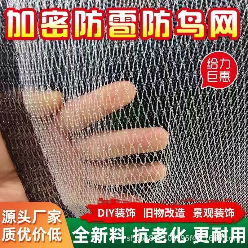 经久耐用葡萄农用防冰雹网果园防护樱桃网防猫防鸟围栏挡网网格网