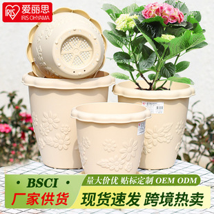 ����˼�Ӻ��֬��������ziris�̨���ϼӺ�A�ζ��⽑���¼�����