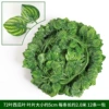 Color Print-72 Leaf Watermelon Leaf (12 packages)