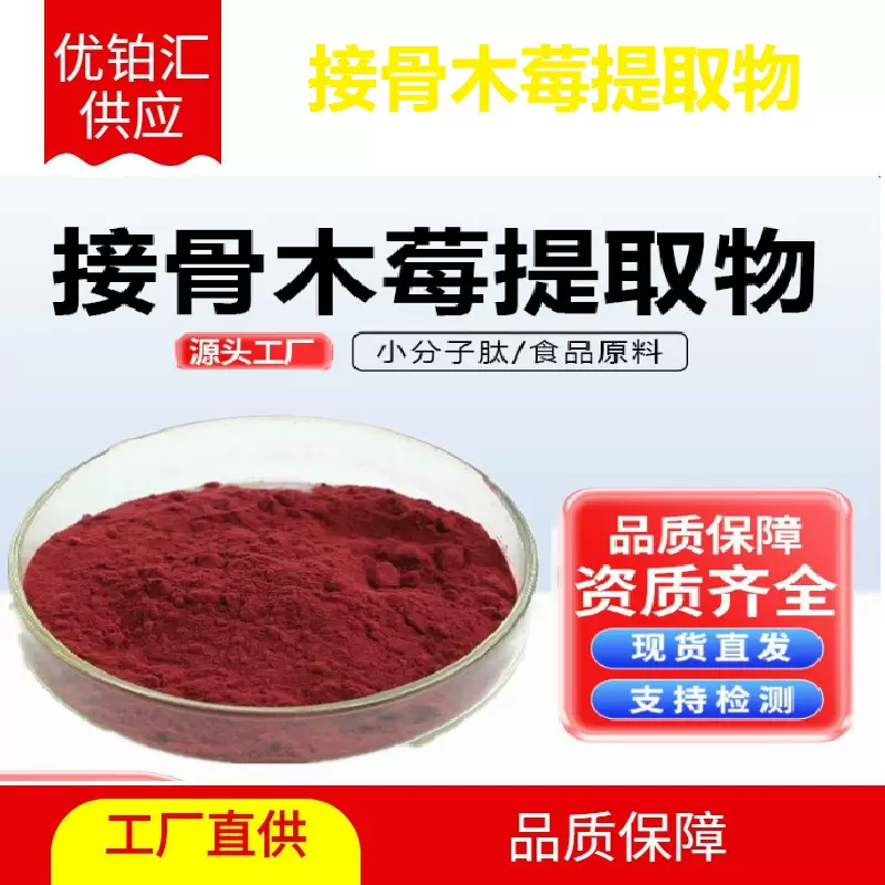 接骨木莓提取物多规格接骨木莓植物原粉比例提取原料厂家现货供应