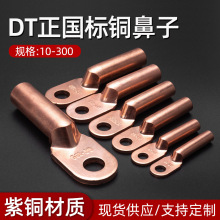 正国标 DT铜接线端子 铜鼻子 铜接线鼻电缆接线鼻线耳DTM