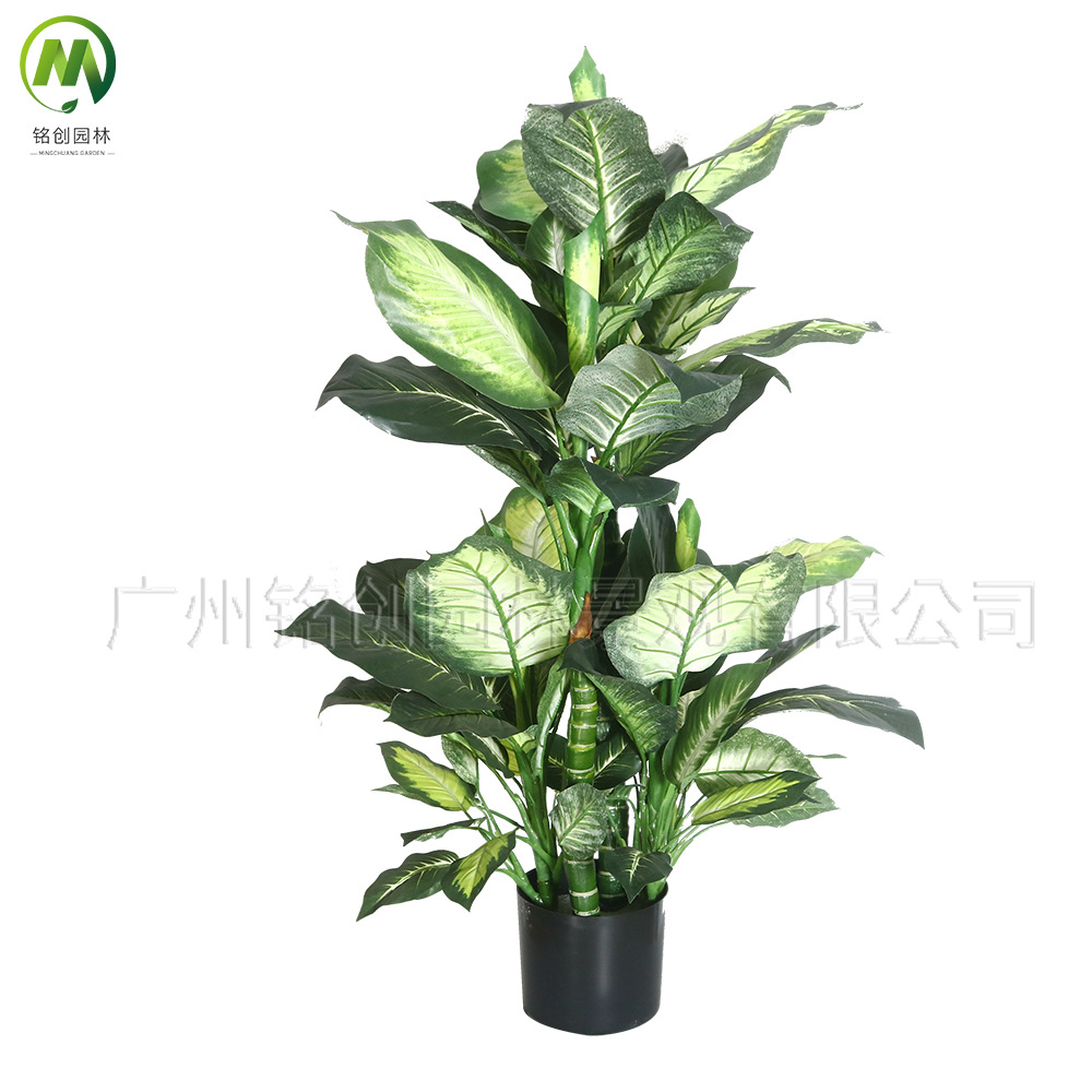Simulación de paisajismo de interior Planta en maceta Evergreen Simulación de planta de follaje de interior Planta verde Evergreen con maceta image 4