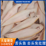 龙利鱼顺丰包邮去皮舌鳎鱼海捕舌头鱼龙舌鱼鳎目鱼批发速发舌鳎鱼