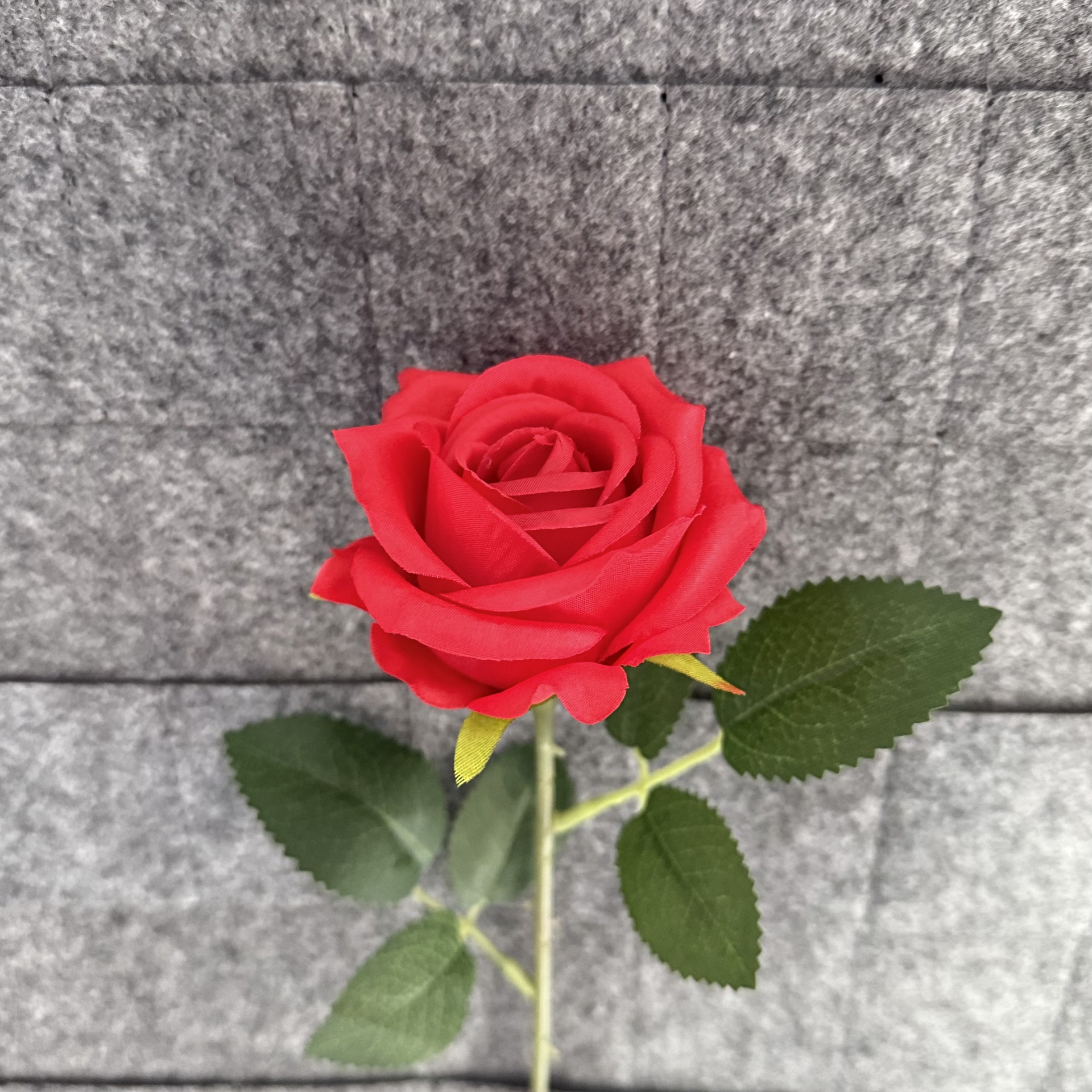 밝은 빨간색