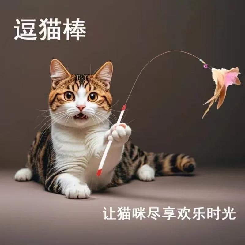 猫玩具彩盒钢丝逗猫棒羽毛铃铛逗猫杆可替换头互动自嗨耐咬猫玩具|undefined