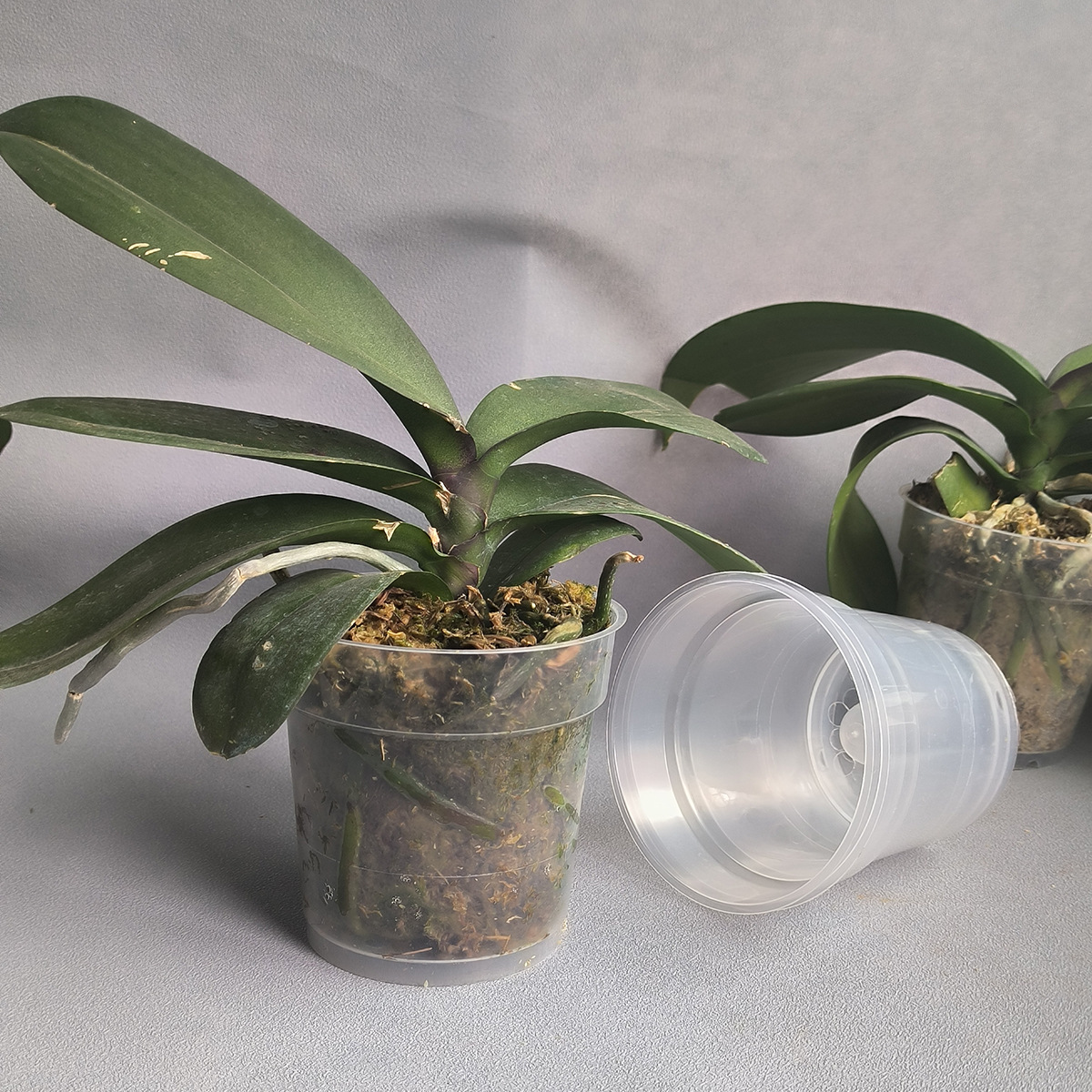 922247ad93d568300d929f366de8af