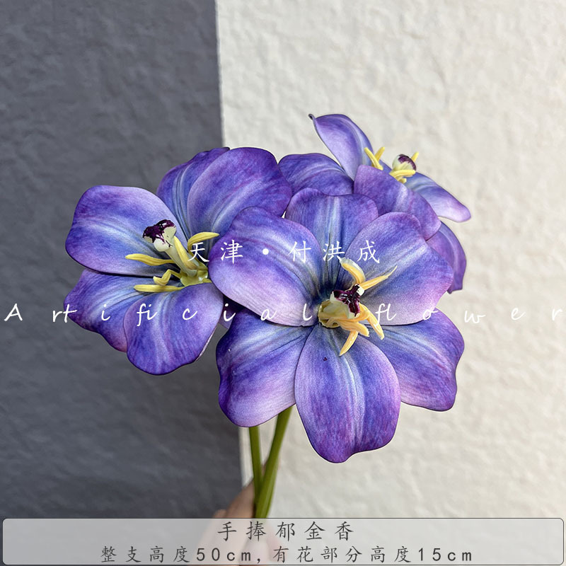 웃는 튤립-보라색