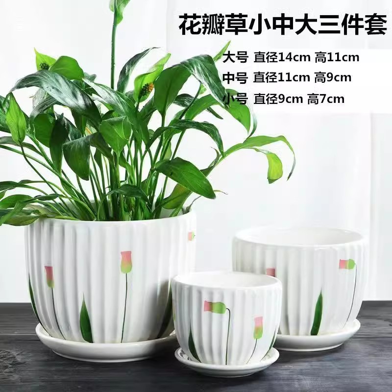 꽃잎 3종 세트 할인 가격