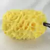 Big yellow seaweed