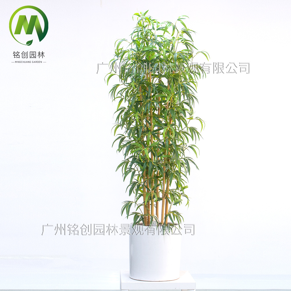 Simulación de plantas verdes y paisajismo Bambú falso Simulación de plantas en macetas Simulación de plantas verdes falsas Paisajes Bambú Bonsai