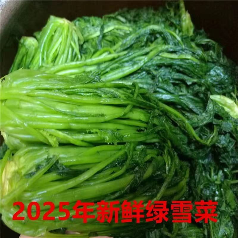 2024东台绿雪菜咸菜袋装绿色雪里红蕻新鲜腌制下饭菜酱菜整箱